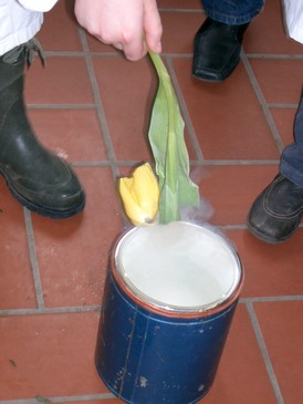 Chemikum Klasse 2006.jpg